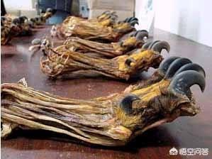 在农村集市上,常有小商贩售卖的“虎骨”、“熊掌”类珍贵药材,都是真的吗？