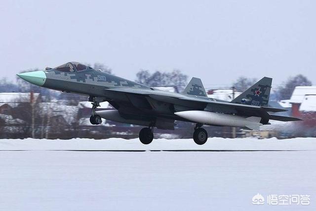 阿根廷巨鸟如同一架小型战斗机:苏57和F35战斗机，哪个更强大？ 巨鸟战斗机