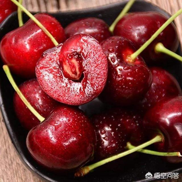 世界上最忧郁的狗狗:什么水果对狗狗来说，毒性是比较强的？