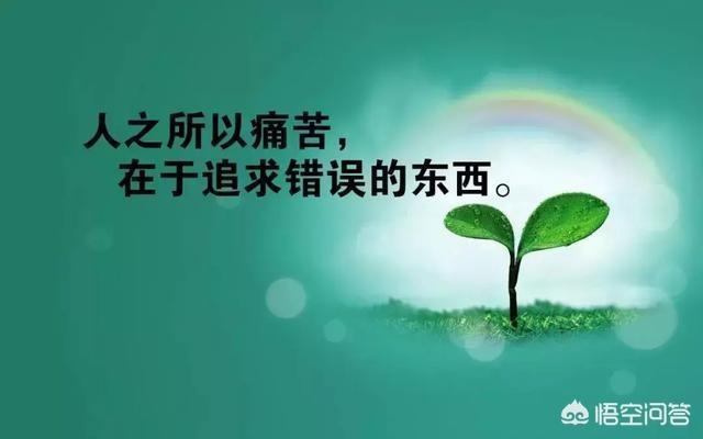 阳光心态正能量的句子:哪里有句句正能量说到心坎里的心情文字？