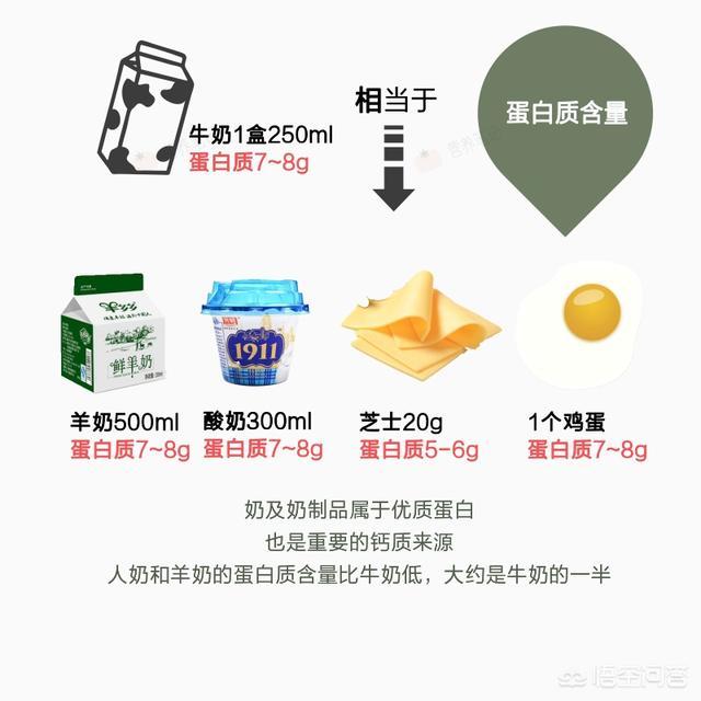 蛋白质含量高的食物:豆浆蛋白质高不高,健身后喝豆浆对肌肉有帮助吗
