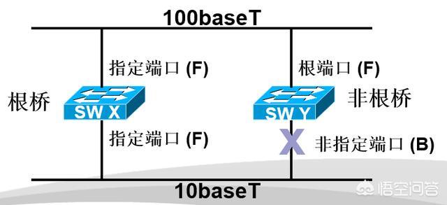 tql是什么意思,网络中STP是什么意思？