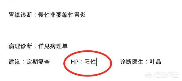 大肠杆菌病英文缩写:肠镜化验单注明Hp是什么意思？