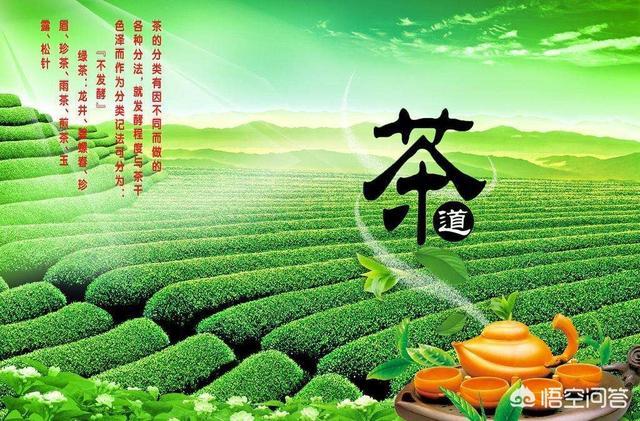 你觉得中国哪种茶的名字最美？