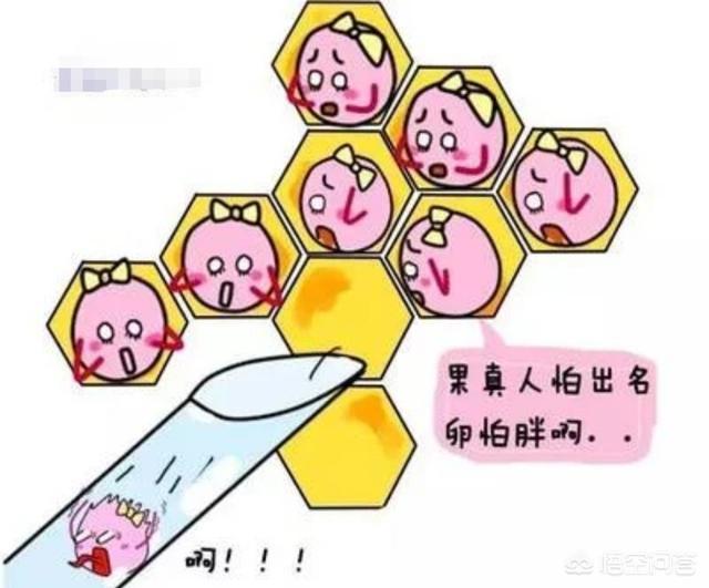 郝蕾双胞胎儿子:怀双胞胎的秘诀是什么呢？