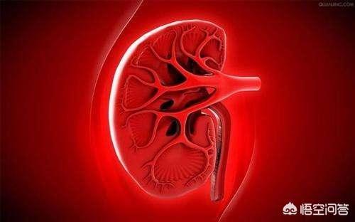 民间90个不传秘方壮阳,有什么好的男性养肾方法吗？