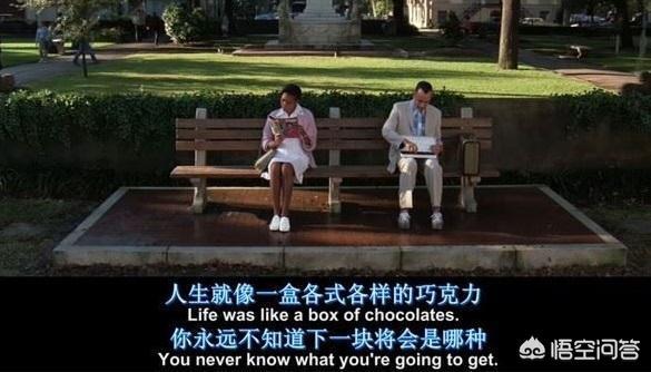 人狗奇缘2在线云播极速播放:2021年有没有赚钱的兼职或者副业？