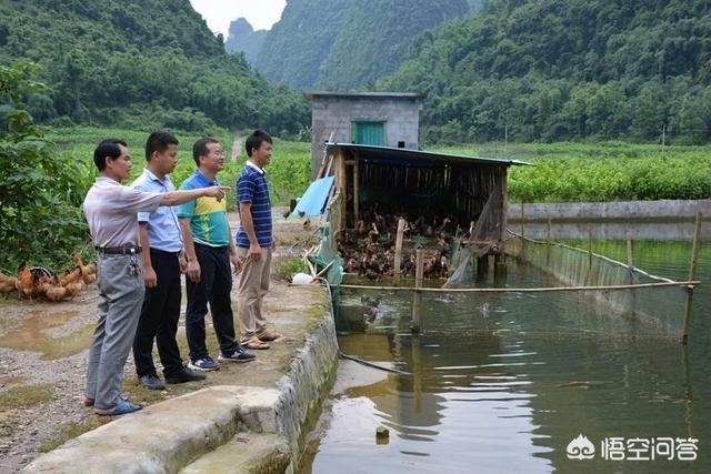 一户村民,侵占村集体土地二十年,致使村路修不成,百多人出行受阻。怎么办？