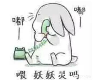 楼上养狗注意事项:住宅楼房养大型宠物犬，需要注意哪些？宠物大小便该怎么处理？