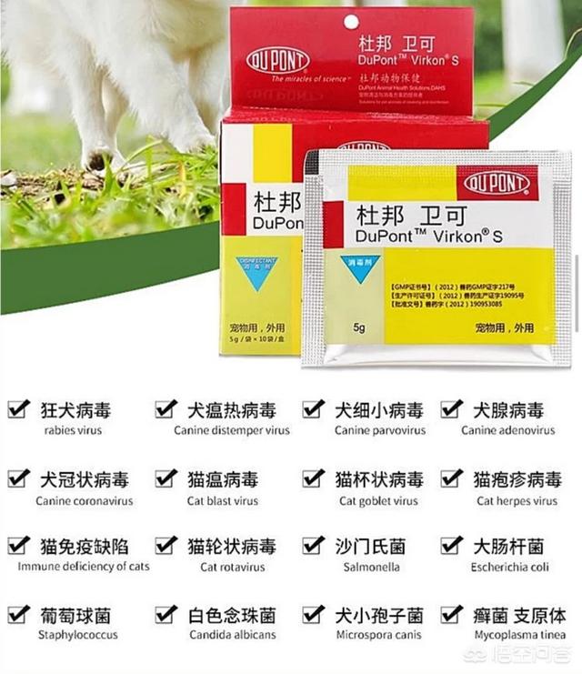 怎样去除金毛体臭:金毛狗手上身上有味道，怎么去除太难闻了？