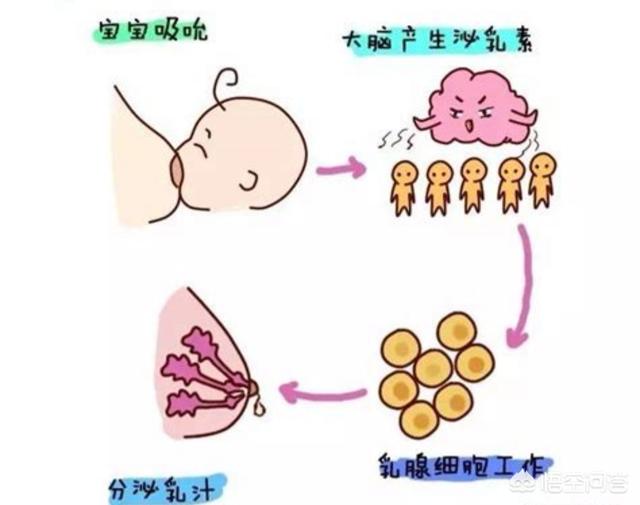 准备给宝宝断奶注意事项:宝宝断奶宝妈注意事项 准备给宝宝断奶，应该吃什么回奶？