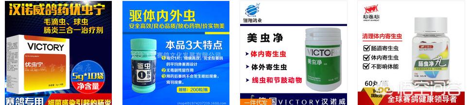 什么是蛔虫病:鸽子有蛔虫病吃什么药比较好？