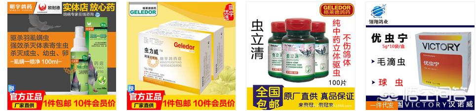 什么是蛔虫病:鸽子有蛔虫病吃什么药比较好？