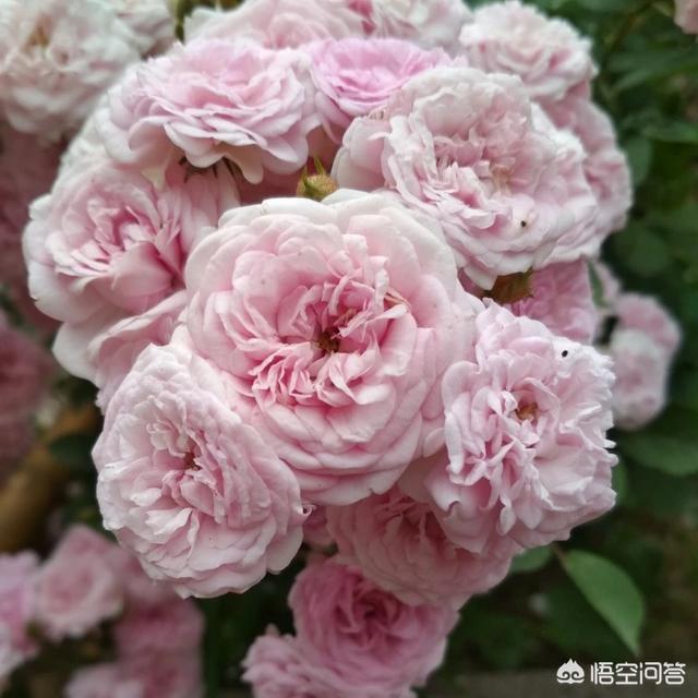 哪些书籍适合年轻人阅读呢？