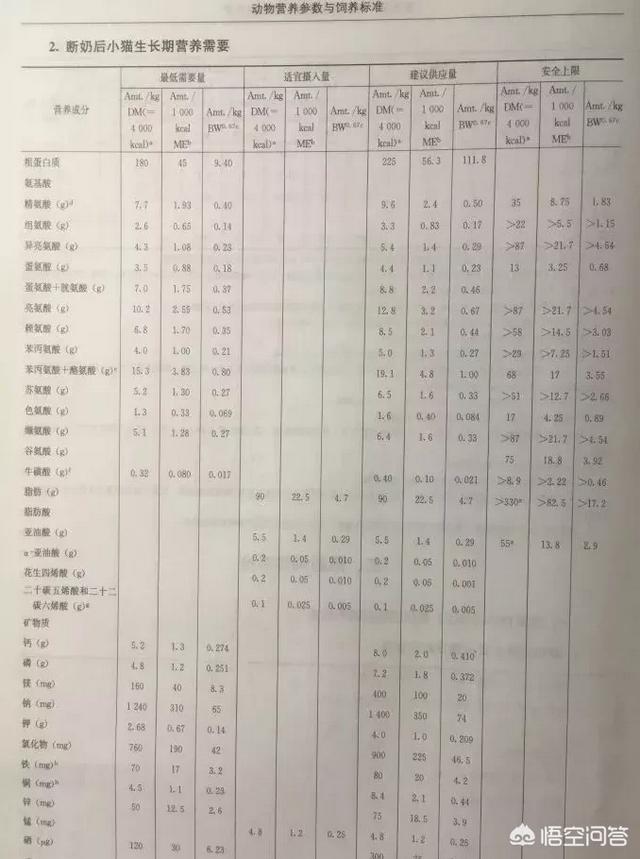 盐对于猫咪来说有用吗，盐对猫的健康有害吗给猫喂食需要注意哪些问题