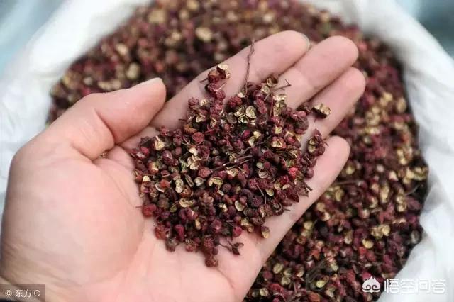 怎样让家里阳气旺盛,体寒怕冷的人，该怎样调理身体呢？