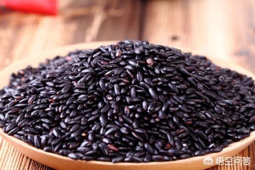黑米怎么吃最补肾，黑米在食疗中有什么作用呢你是怎样吃黑米的呢