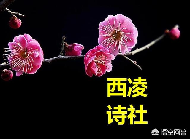 女打底花裤批发:为什么有人说紧身裤吸引女生？