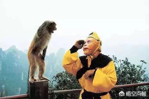 在你心目中哪部影视剧是最经典且无法翻拍超越的？