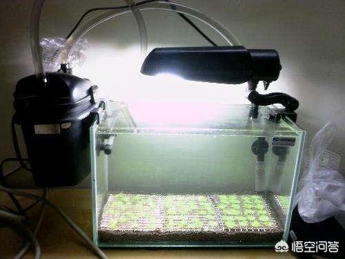 民用水族箱过滤器:小鱼缸用什么过滤器比较好？