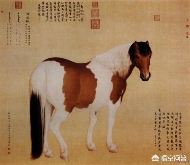 百骏图作者:郎世宁作品属于什么画风？