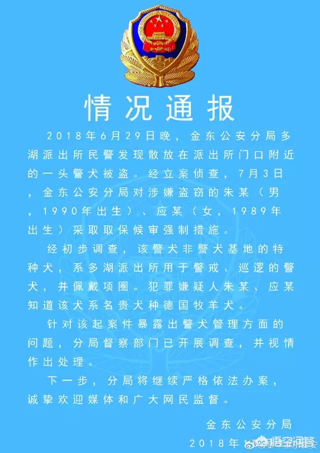 救助犬的遗言完整版:怎么看金东夫妻救助警犬反被罚的事件？