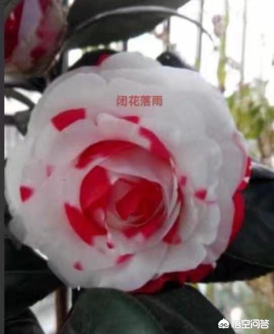 雨付梦妮:除了《不负骤雨》、《时间煮雨》之外有哪些可推荐的关于雨的歌？