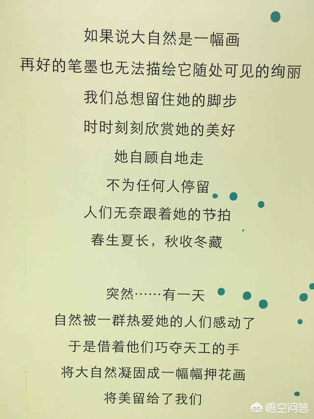 罗汉松:罗汉松造型 罗汉松用浅盆还是深盆？有哪些需要注意的？