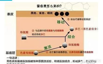 长色斑的原因,脸上的色斑是怎么长出来的？