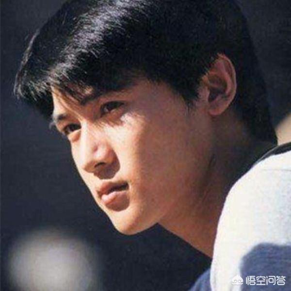 陆毅主演的电视剧:陆毅演过什么演技出众的影视剧？