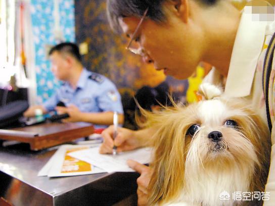 广州养狗要登记吗:如何给自家狗狗办理狗证？