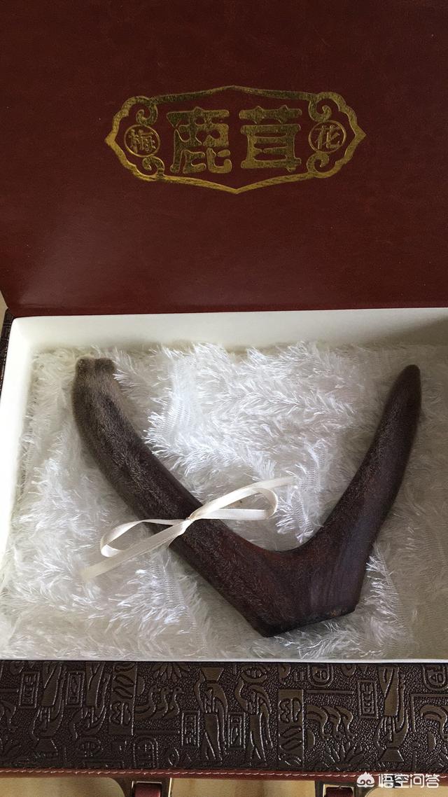 泡的酒里可以加入鹿鞭鹿茸和枸杞,还可以加什么?(红参鹿茸鹿筋枸杞可以一起泡酒吗)