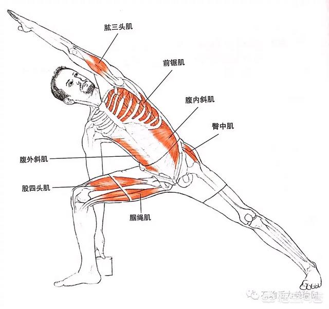 瑜伽壮阳体式，瑜伽体式—侧角伸展式怎么做体式要领是什么