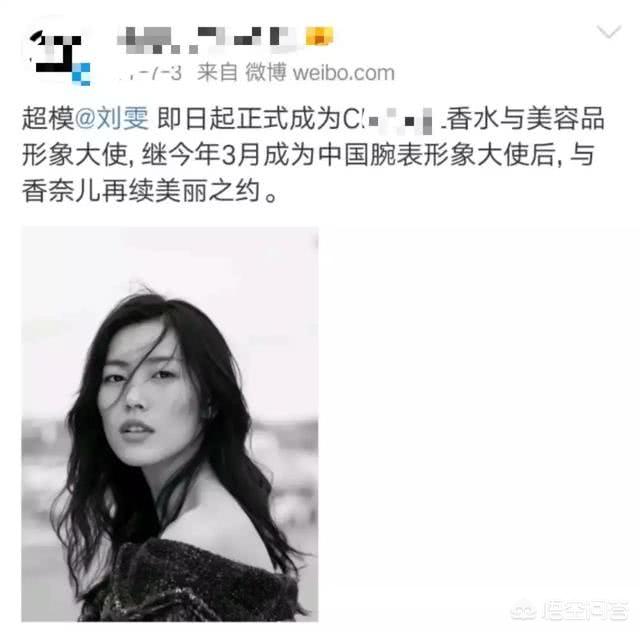 刘雯是维密第七次走秀。她在全球模特圈的地位如何？
(图11)