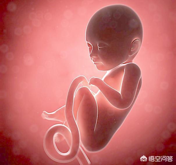 怀孕29周胎儿图片真人图片