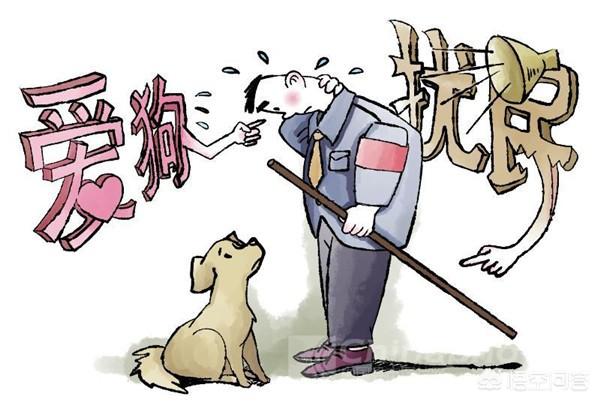 楼上养狗注意事项:住宅楼房养大型宠物犬，需要注意哪些？宠物大小便该怎么处理？