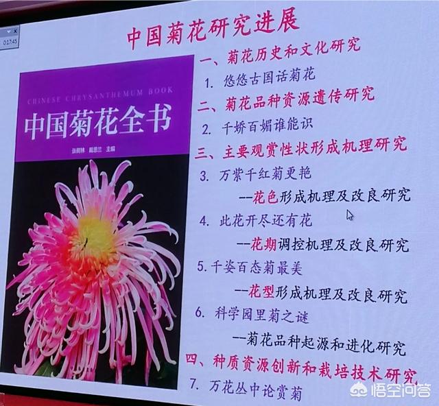 没想到玉树也能开花 茂盛小花倍感珍惜 学会技巧就能年年赏 腾讯新闻