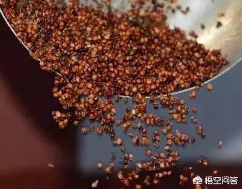 茅台王子酒到底该如何选择，茅台王子酒有哪几种茅台王子酒是什么工艺生产的