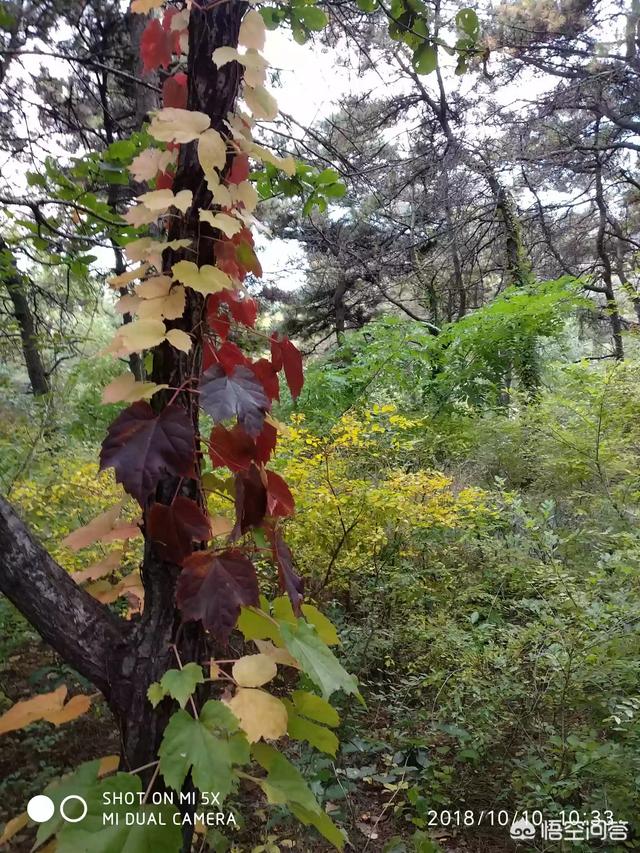 10月份最适合去哪里旅游？