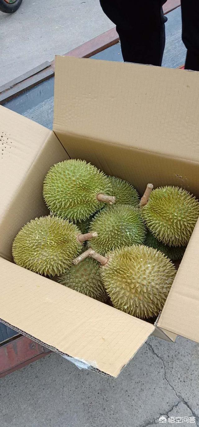 头条问答 - 猫山王榴莲和d24榴莲有什么区别?(3个回答)