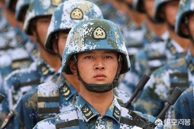 2018退役比特犬买卖区:军人服役期快满了，复员、留队和转业哪个好？为什么？