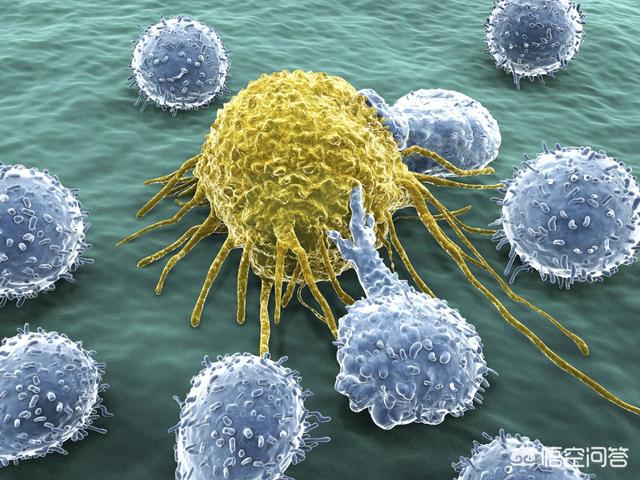 癌症是鬼安排的，科学家说癌细胞是人类进化的未来，这是真的吗你怎么看