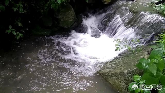 终南山修行人:古往今来，为何隐士、修行者会首选终南山隐逸修行？