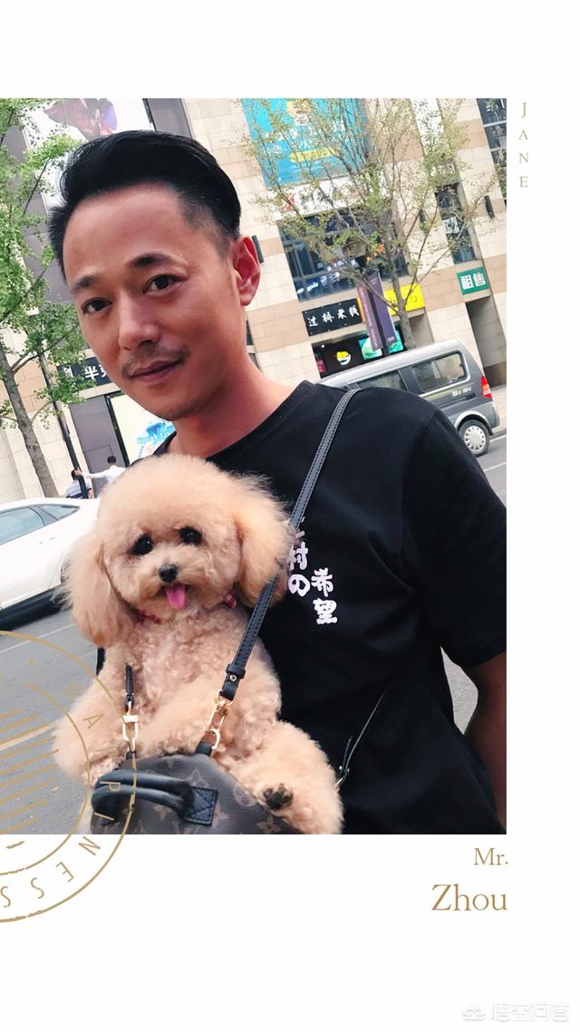 宠物美容价格表:开个宠物美容店大概多少钱？