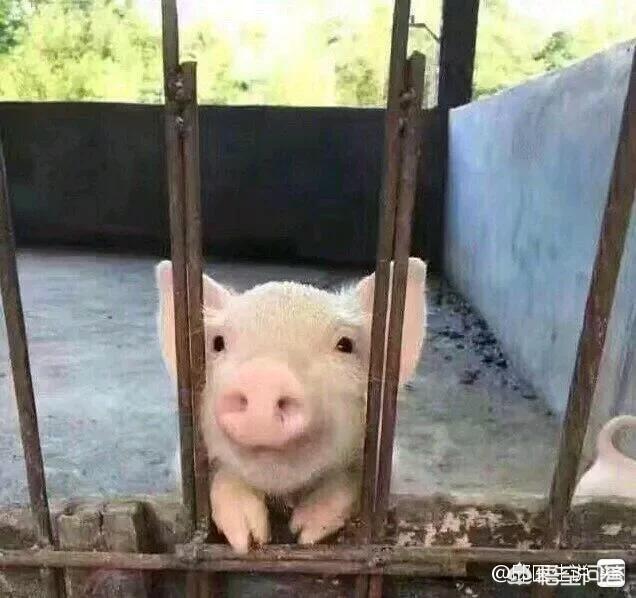 如何看待恋爱中一些女生野蛮可爱的行为？
