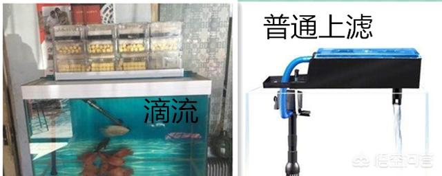 民用水族箱过滤器:小鱼缸用什么过滤器比较好？