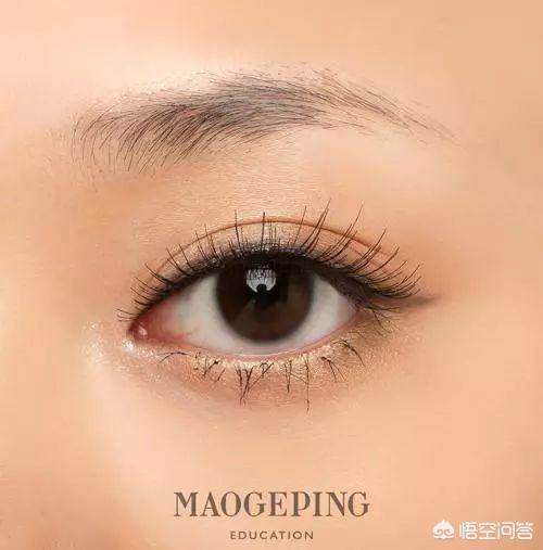 怎样学会眉毛的入门画法呢？插图53