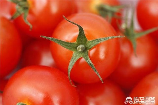 西红柿壮阳吗，男性养生的食谱，有哪些推荐