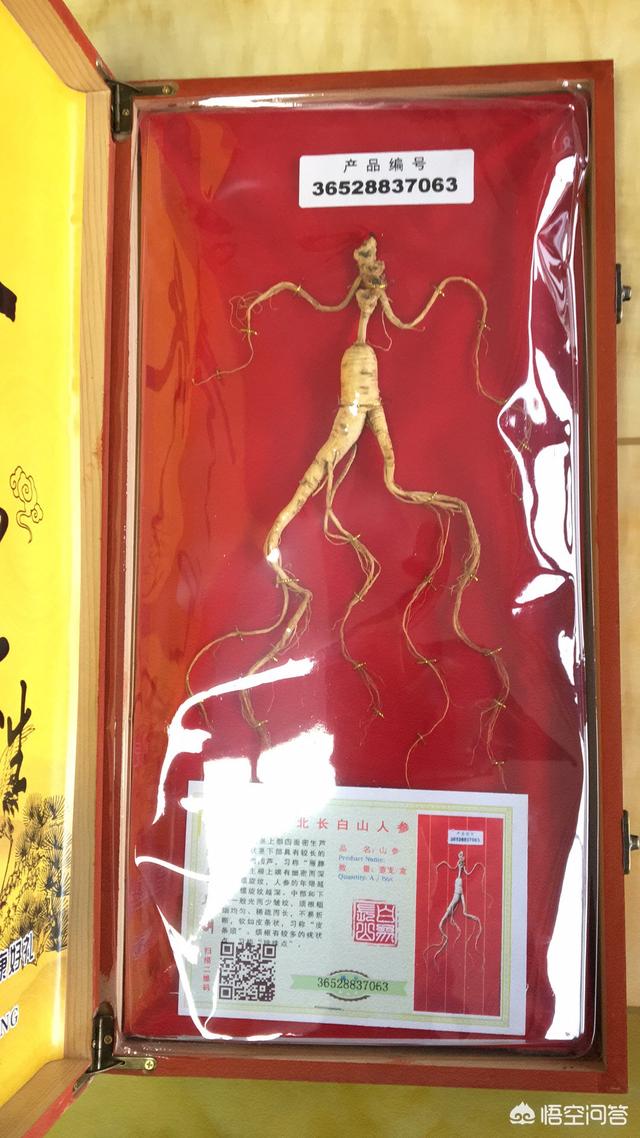 泡的酒里可以加入鹿鞭鹿茸和枸杞,还可以加什么?(红参鹿茸鹿筋枸杞可以一起泡酒吗)