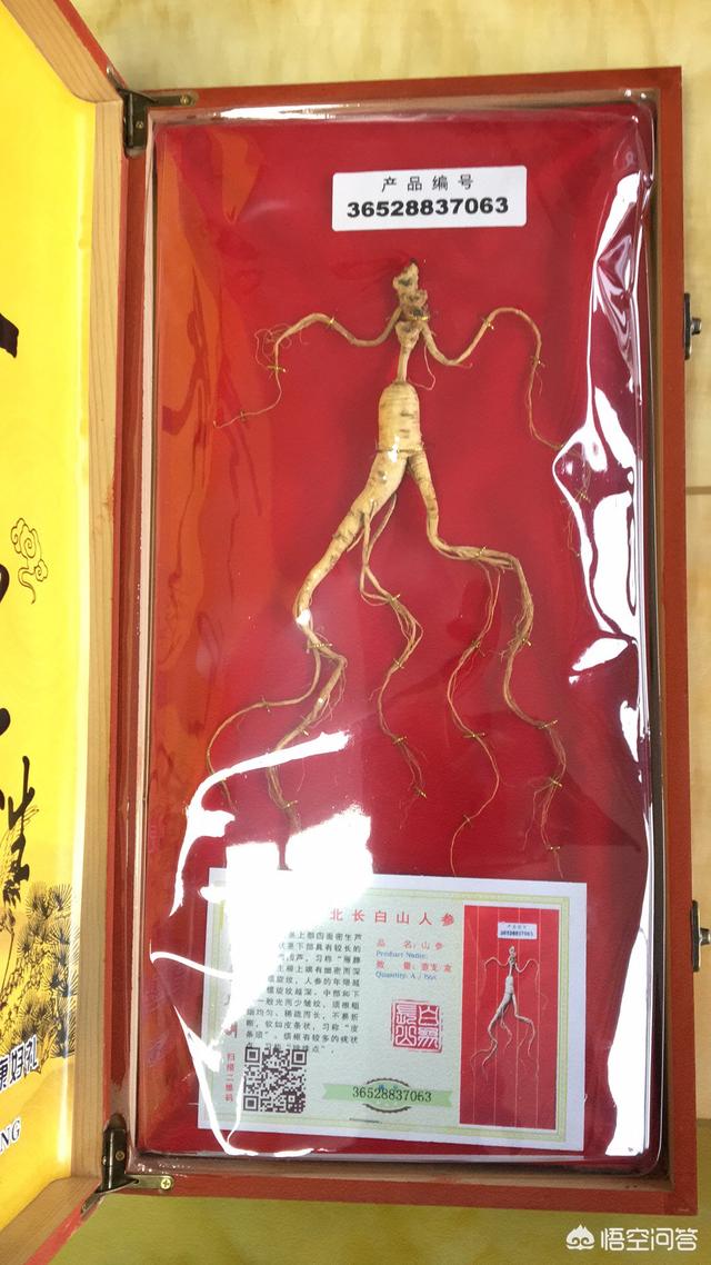 鹿鞭壮阳酒配方大全，鹿鞭加点什么中药泡酒不上火